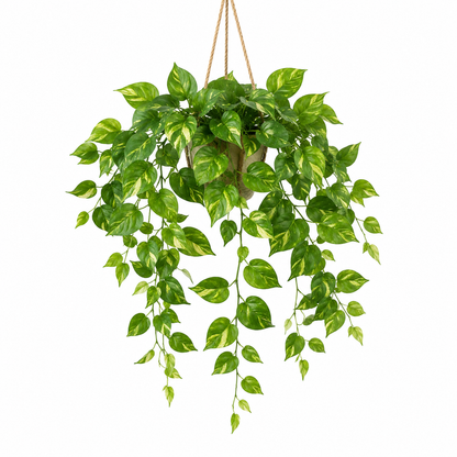 Masrjkie® Artificial Hanging Pothos Plant