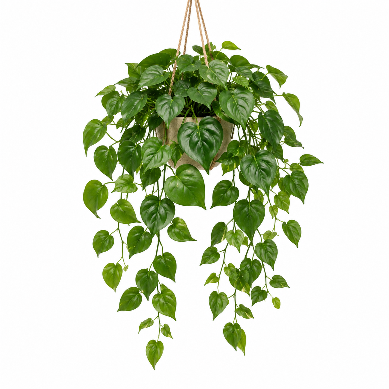 Masrjkie® Artificial Hanging Philodendron Vine