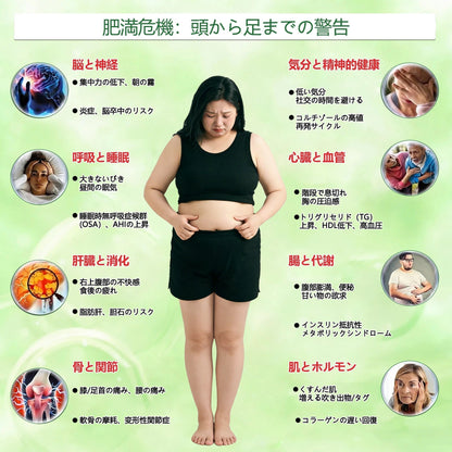 💜内臓脂肪対策サポート 👨‍⚕️👩‍⚕️GeeLemon®＆NAD+ 8-in-1 ナノ強化フォーミュラ — 肥満、肌のたるみ、糖尿病、睡眠時無呼吸症候群、関節の悩み、その他健康上の懸念にアプローチ🛍️