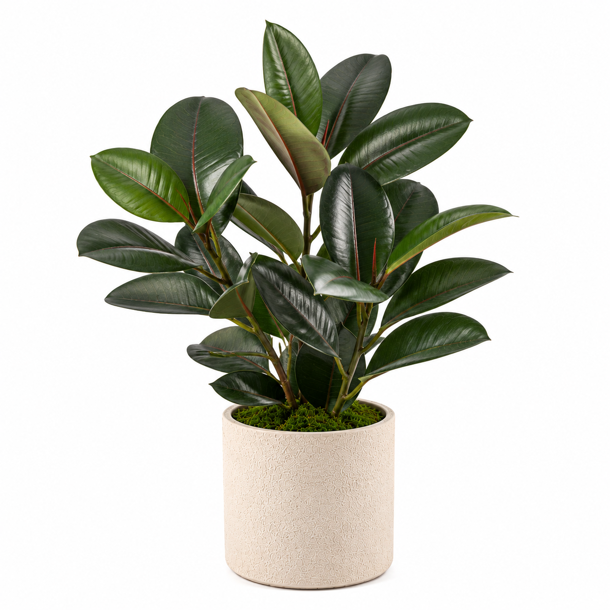 Masrjkie® Artificial Rubber Leaf Plant