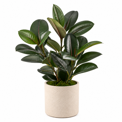 Masrjkie® Artificial Rubber Leaf Plant