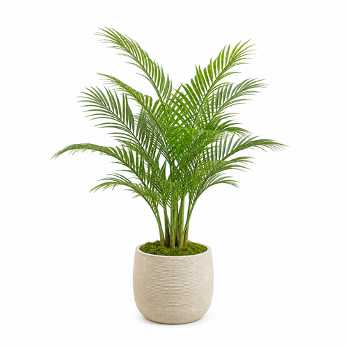 Masrjkie® Mini Artificial Areca Palm