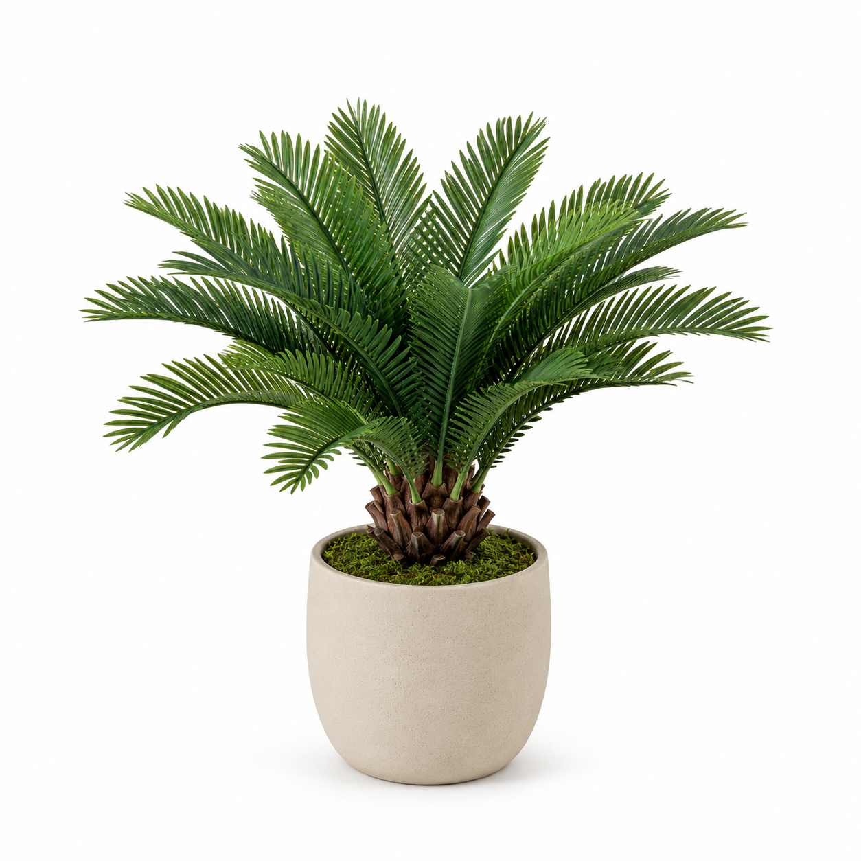 Masrjkie® Mini Artificial Sago Palm